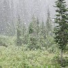 Boulder Pass Trail, Sept 5th, 2010